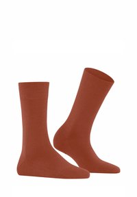 Unausgewählt, terra