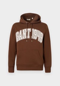 GRAPHIC HOODIE - Sweatshirt - mahogany brown