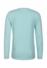 Pull-over en tricot bleu clair à manches longues avec col rond, texture tricotée, et poignets et ourlets côtelés. Aucun motif distinct ou détail matériel.