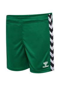 Gröna sportshorts tillverkade av ett mjukt tyg, med ett svart och vitt chevronmönster på sidorna och en logotyp i det nedre hörnet.