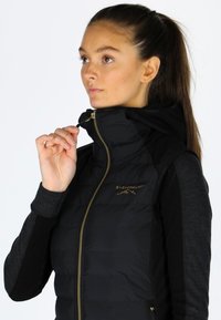 Gilet nero con parte anteriore imbottita e voluminosa, chiusura con zip, dettagli dorati e maniche in tessuto nero. Presenta un logo sul petto e colletto alto.