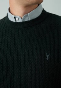 Dunkelgrüner Grobstrickpullover mit einem runden Ausschnitt und strukturiertem Muster. Mit einem kleinen grauen Hirschemblem auf der Brust, kombiniert mit einem hellblauen Hemd mit Kragen darunter.