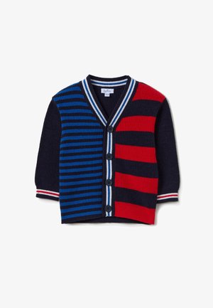 STRIPED WITH V NECK - Strickjacke - blue red
