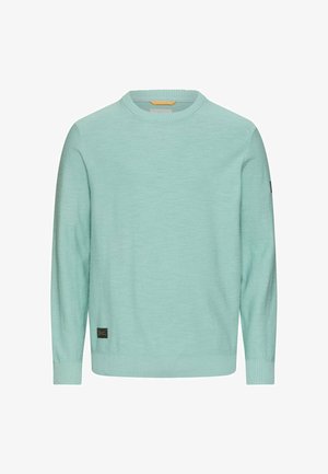 Lysegrøn crewneck-trøje med lange ærmer, ribstrikkede manchetter og kant samt et lille sort mærke med brandnavn nær nederste kant.