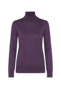 Pull à col roulé violet à manches longues avec col, poignets et ourlet côtelés, présenté sur un fond blanc uni.