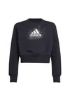 ICE CREW JUNIOR UNISEX - Sudadera - black