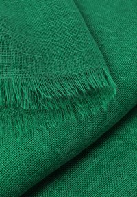 Tessuto verde intrecciato con una finitura testurizzata, caratterizzato da bordi frangiati e un motivo di trama allentata, che aggiunge profondità e interesse visivo.