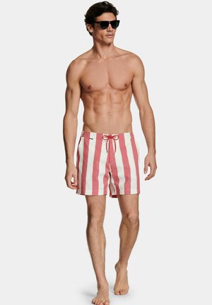 THE BIG STRIPES SWIMS - Short de bain - lifebuoys
