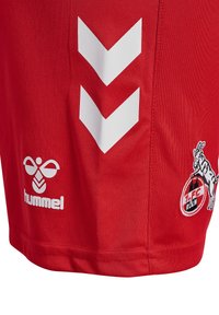 Shorts de sport rouges en tissu avec des rayures blanches en chevron et un logo brodé d'un chèvre avec un ballon et du texte en dessous.