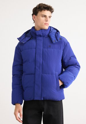 LOGO HOODED - Vinterjakker - bellwether blue