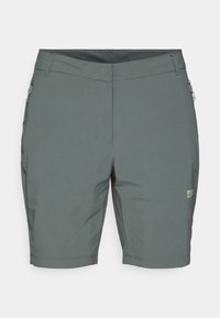 HIKEOUT - Short de sport - slate green