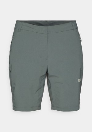 Szürke cargo sort könnyű anyagból, szabványos szabással, oldalsó zsebekkel és diszkrét logóval a fronton.
