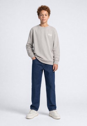 Petrol Industries, GRAPHIC PRINT SWEATSHIRT STEELBROOK - Sweater - ice grey