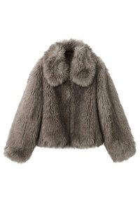 Giacca invernale - grey