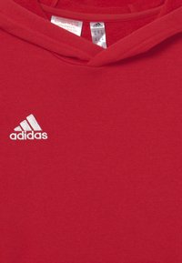 adidas Performance Bluza z kapturem
