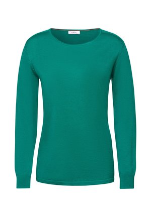 Vihreä pitkähihainen neulepaita, joka on valmistettu sileästä kankaasta. Omistaa pyöreän pääntien, ribbed hihansuut ja rento istuvuus. Tunnuksessa lukee "CECIL."