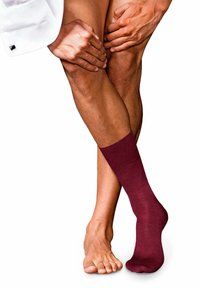 FALKE NO. 6 - Calze - barolo