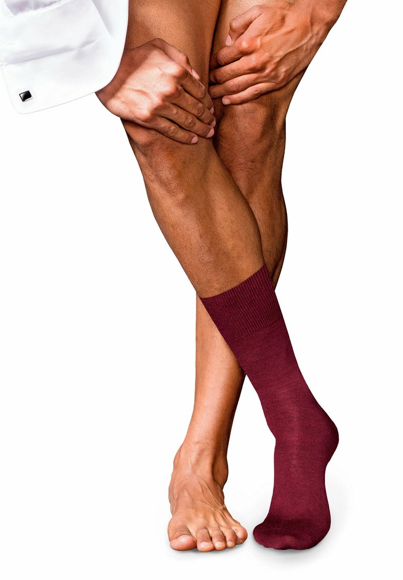 FALKE NO. 6 - Calze - barolo