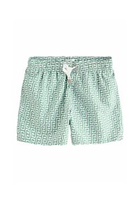 REGULAR FIT - PRINTED - Kupaće hlače - sage green monogram