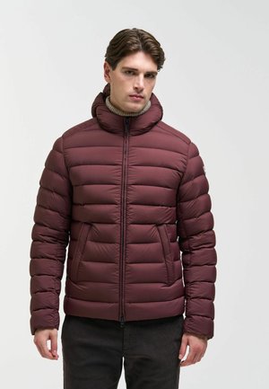 Mann trägt eine bordeauxrote Daunenjacke mit hohem Kragen und Reißverschluss, stehend vor einem einfarbigen hellen Hintergrund.