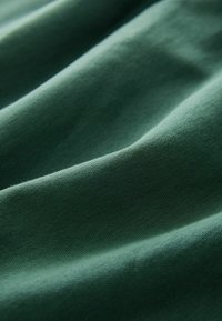 Textúrovaná zelená látka s hladkým povrchom, so subtílnymi záhybmi a jemným, ľahkým vzhľadom. Ideálna na oblečenie alebo čalúnenie.