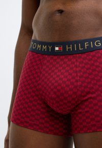 Rote karierte Boxershorts mit einem schwarzen Bund, verziert mit dem goldenen "TOMMY HILFIGER"-Logo und kleinen farbigen Logoakzenten. Glatte Stoffstruktur.