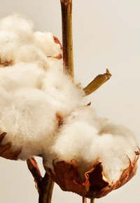 Miniatyrbild 5