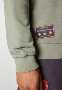 adidas Originals FC BAYERN ICON HALF ZIP  - Fanartikel - base green