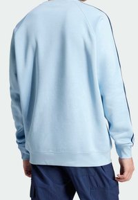 Ljusblå sweatshirt med raglanärmar, ribbade muddar och fåll. Har marinblå sidsstreck. Tyget har en mjuk och jämn textur.