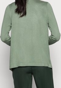 Svetle zelený pletený svetr s dlouhými rukávy, kulatým výstřihem a mírně delším zadním lemem. Hladká textura, přiléhavý střih na rukávech.