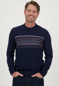 Marineblauwe gebreide trui met een ronde hals en lange mouwen, voorzien van een horizontaal meerkleurig streeppatroon over de borst. Zachte textuur.