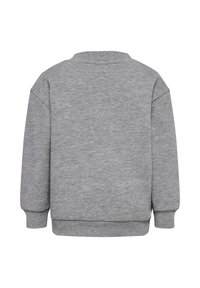 Grå sweatshirt med rund hals, långa ärmar och ribbade ärmslut. Mjukt, strukturerat tyg med en ren, enkel design. Inga synliga detaljer.