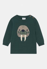 Groene gebreide trui met een walrusgrafiek, ronde hals, lange mouwen en houten knoopaccenten op de schouder. Zachte textuur.