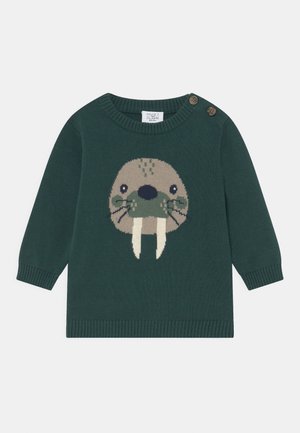 Grön stickad tröja med en valrossgrafik, rund halsringning, långa ärmar och knappar i trä vid axeln. Mjuk textur.