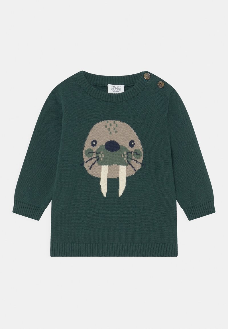 Groene gebreide trui met een walrusgrafiek, ronde hals, lange mouwen en houten knoopaccenten op de schouder. Zachte textuur.