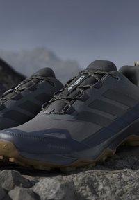 Scarpe da trekking Adidas Terrex grigio scuro e nero con Gore-Tex, appoggiate su terreno roccioso con sfondo montano sfocato.
