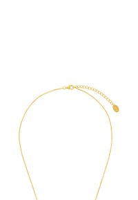 Collana d'oro con una fine catena a maglie, dotata di un gancio a morsetto e di una catena di estensione, con una texture liscia e una lucentezza sottile.