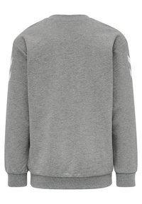 Felpa grigia con maniche lunghe, collo rotondo, polsini e orlo a costine; presenta un logo bianco su ogni manica. Tessuto morbido, design casual.