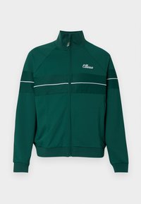 CAREY - Sweater met rits - dark green