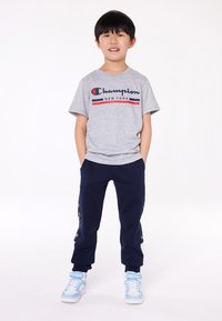 Champion GRAPHIC CREWNECK UNISEX - Majica kratkih rukava s printom - grey