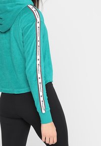 Champion Jersey con capucha - teal