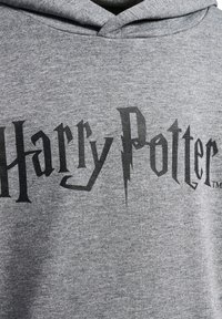 Felpa grigia con cappuccio caratterizzata da un grande logo nero "Harry Potter" stampato sul davanti, con una texture morbida e un design classico da infilare.