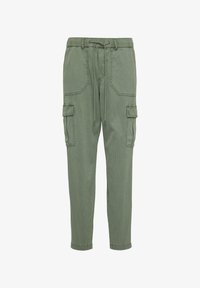 Vybrané, salbeigrün