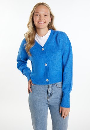 Cardigan albastru cu guler în V, mâneci lungi și tiv ribrat. Are cinci nasturi în față și un material tricotat moale, texturat.