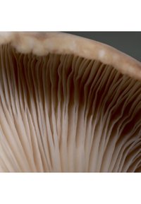 Thumbnail Image 6