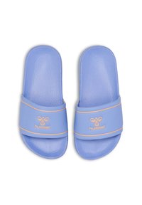 Hummel Pool slides - hydrangea