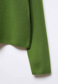 Groene gebreide trui met een soepele textuur, uitgerust met lange mouwen en een rechte zoom. De stof lijkt lichtgewicht en comfortabel te zijn.