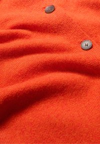 TERN TIDE - Kardigan - orange mandarin