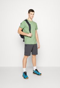 Helly Hansen CORE GRAPHIC - Camiseta estampada - jade