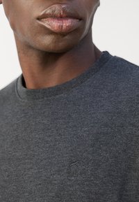 Sweatshirt gris foncé avec un col rond, des poignets côtelés et un logo brodé sur la poitrine. Le matériau semble doux et texturé.